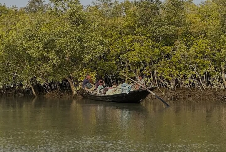 banglahour